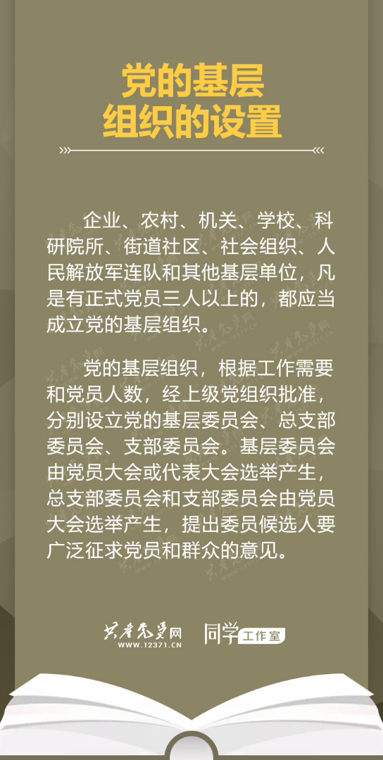 党章章程知识点第五章第六章党的基层组织 干部哔哩哔哩bilibili