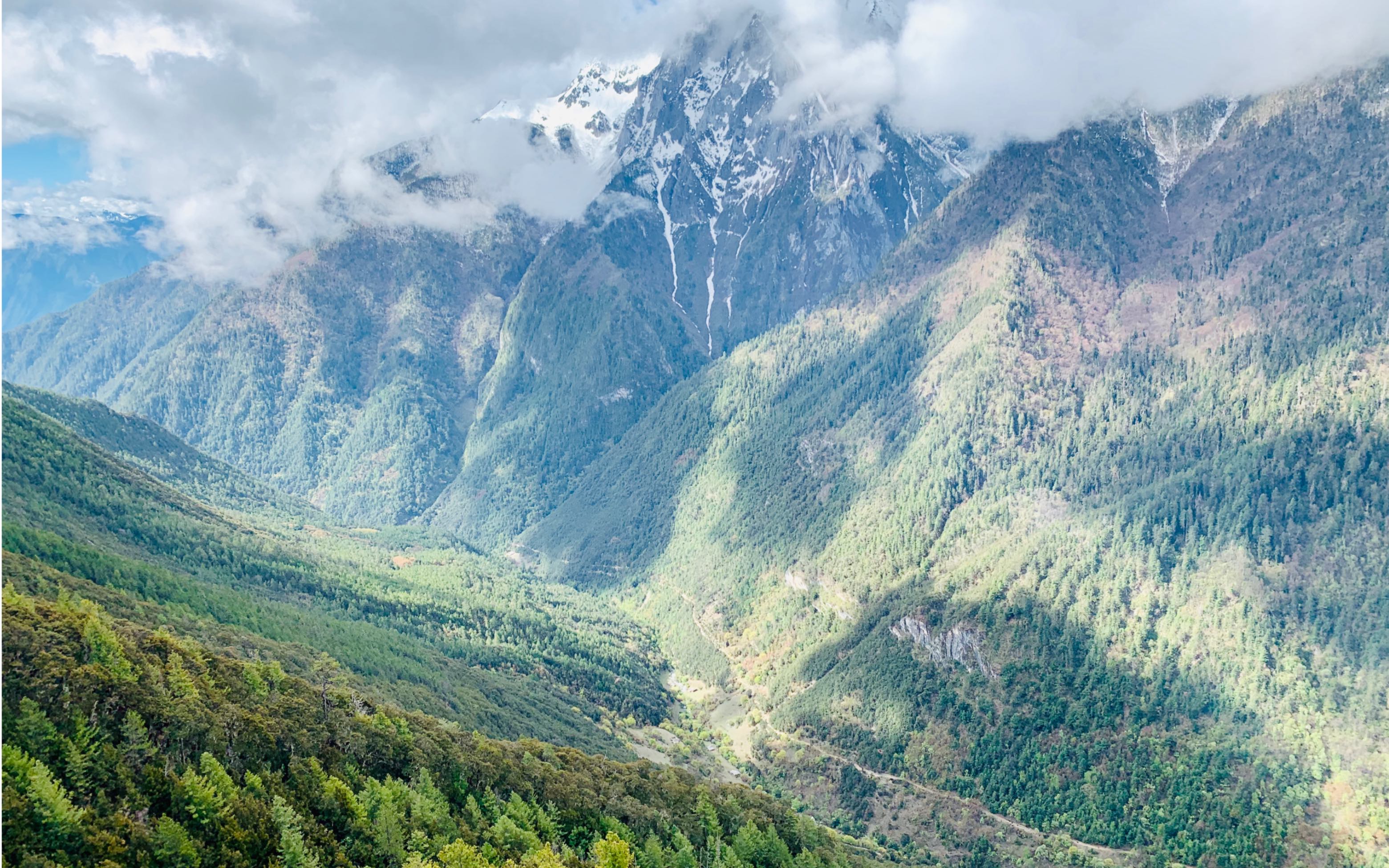 在山林中越野跑vs在深雪中越野跑