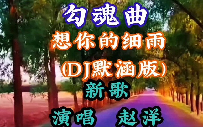 [图]又一首勾魂曲全网都在听《想你的细雨 (DJ默涵版)》演唱赵洋