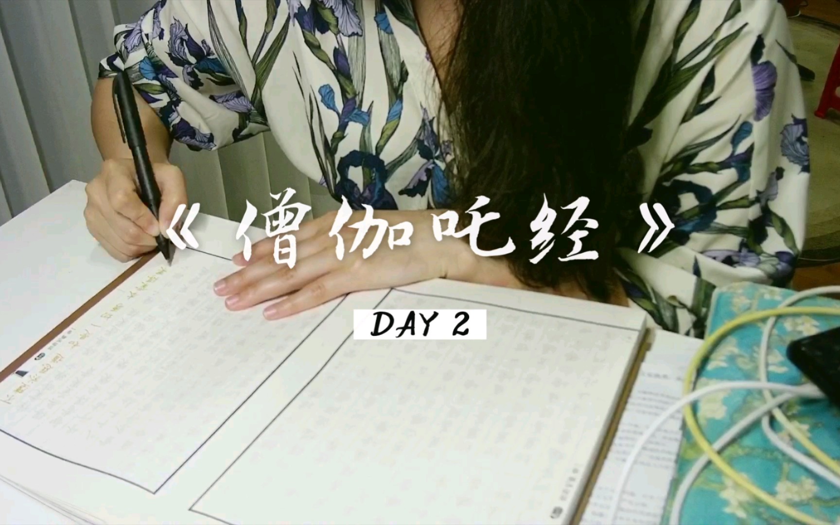 《僧伽吒经》DAY 2哔哩哔哩bilibili