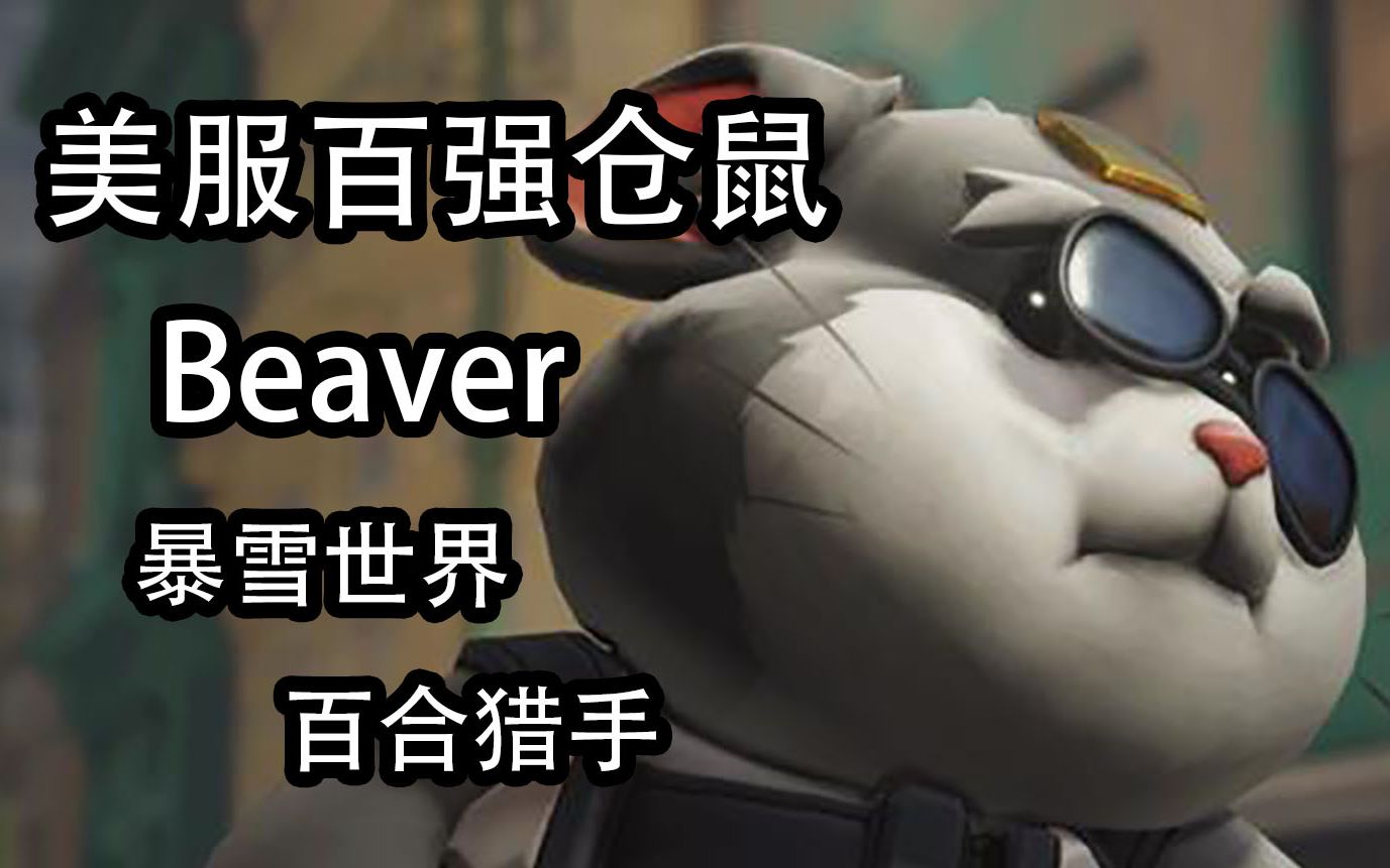 beaver 美服百强仓鼠/破坏球 暴雪世界 百合猎手