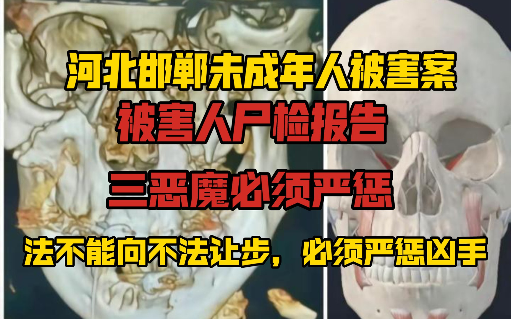 河北邯郸霸凌被害初中生杀人案最新尸检报告:令人发指法,不能向不法