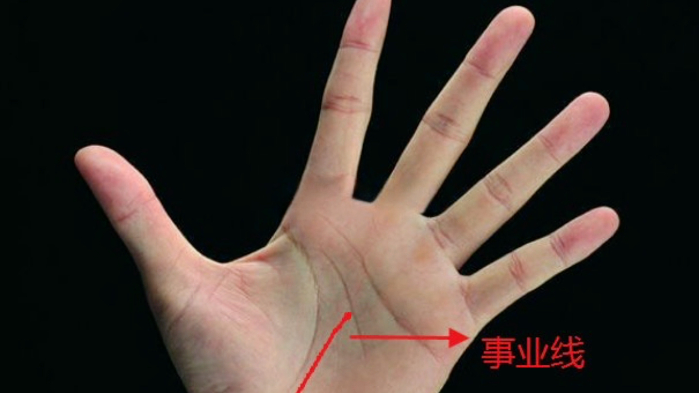 事业线止于智慧线说明什么?