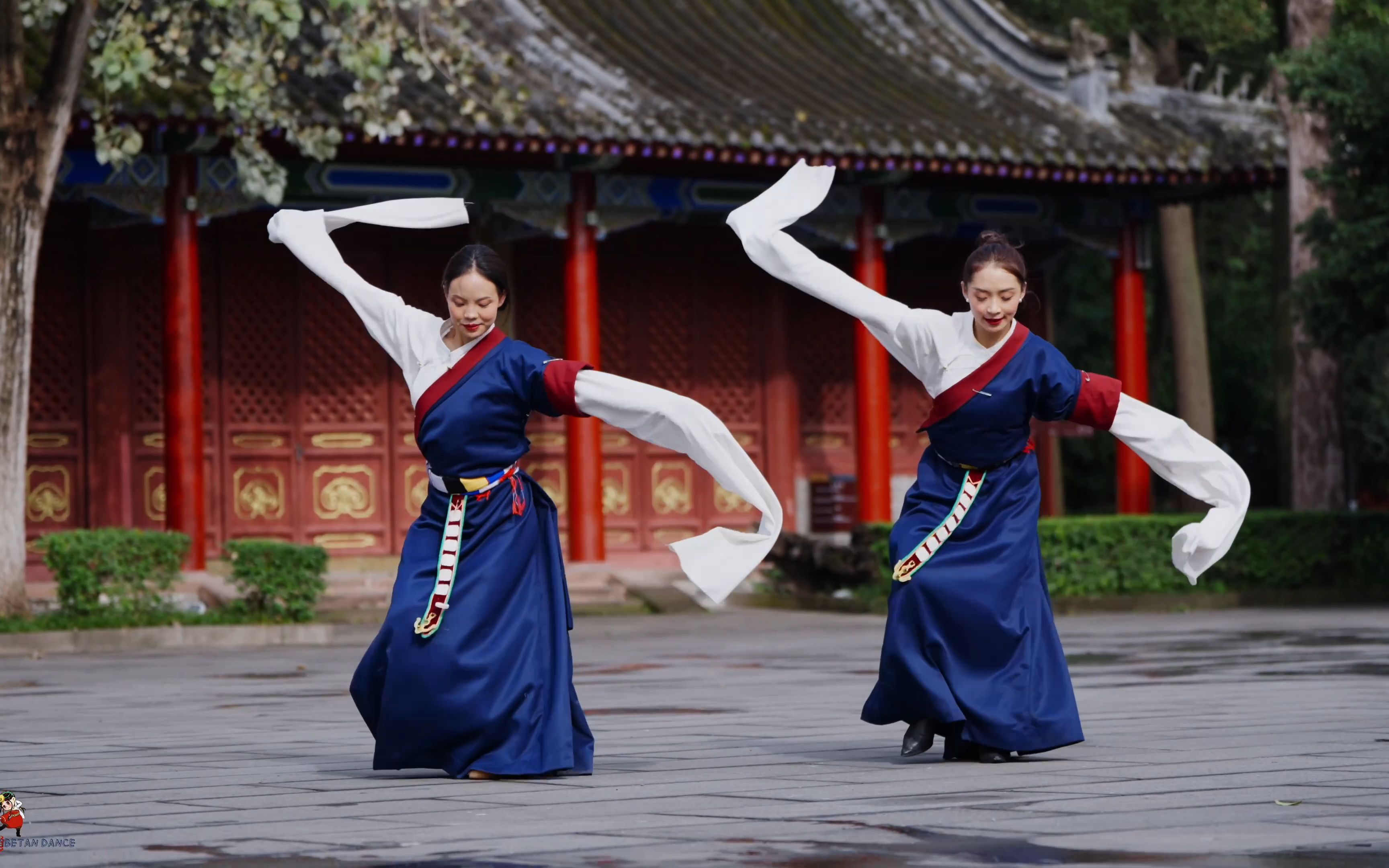 藏族美女,长袖善舞