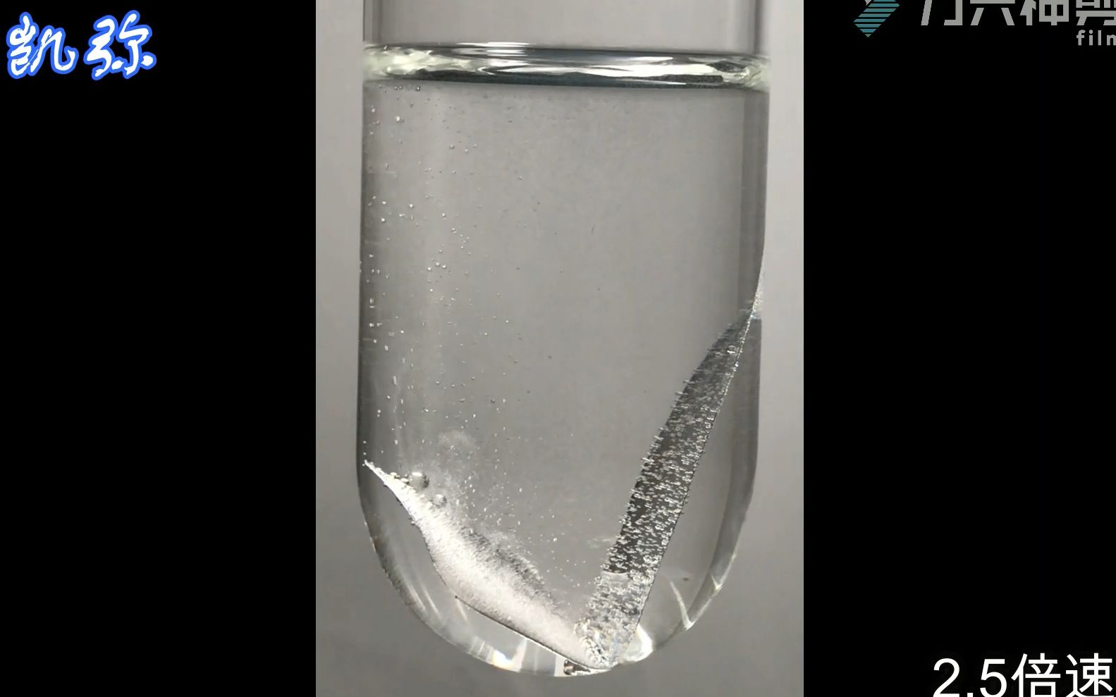 美丽化学系列13铝和稀盐酸反应