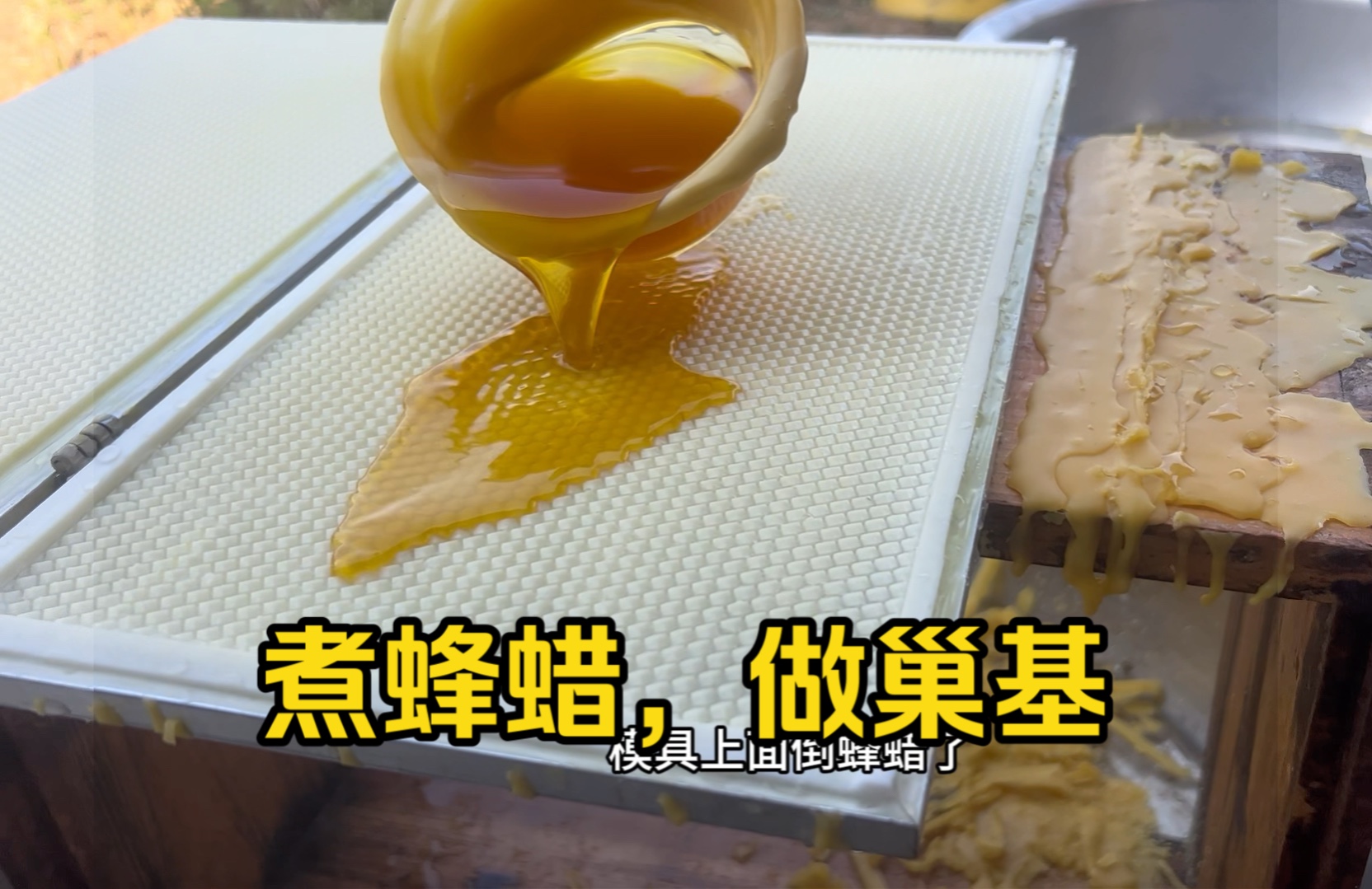 煮蜂蜡,做巢基~哔哩哔哩bilibili