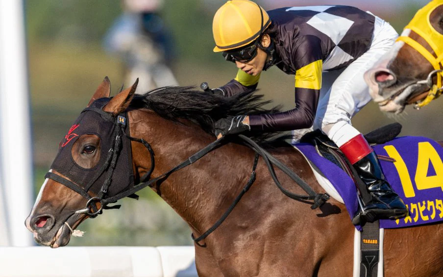 【赛马】2022年经典三冠|皋月赏,日本达比,菊花赏【地标图形/胜局在望