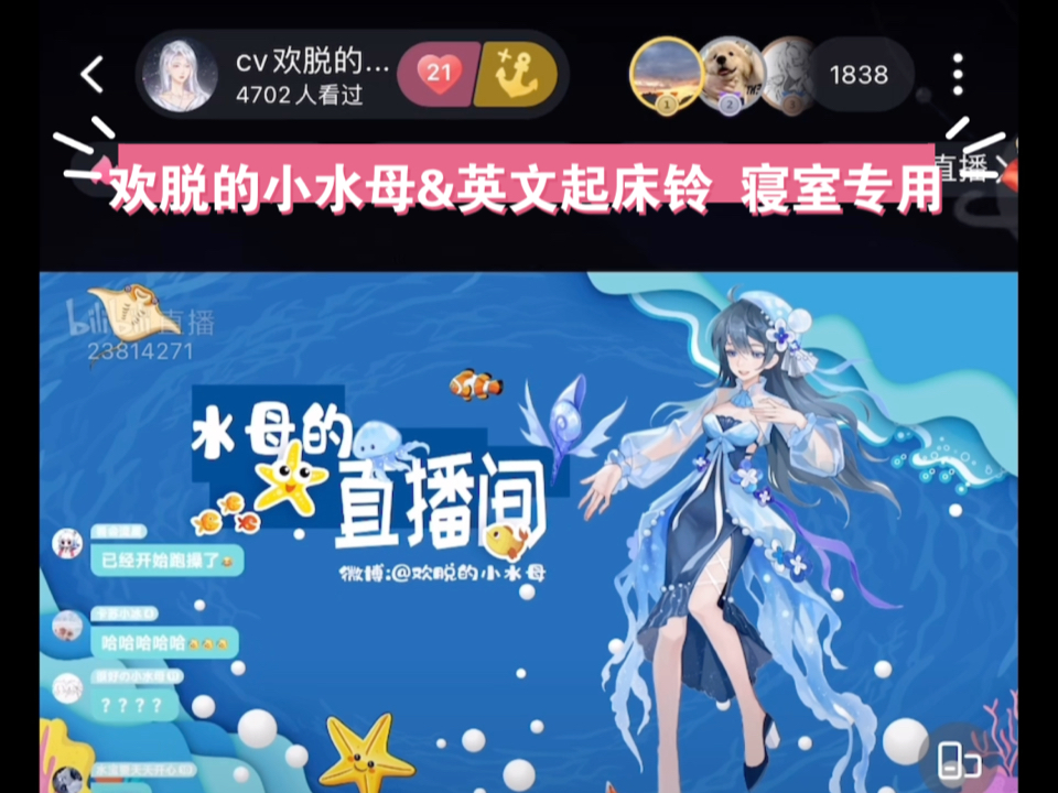 【欢脱的小水母&英文起床铃】寝室专用哔哩哔哩bilibili