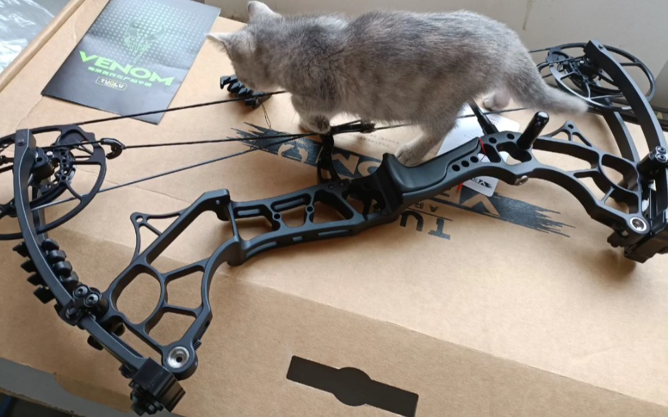 复合弓和猫咪(复合弓的开箱视频)试射视频后面补上