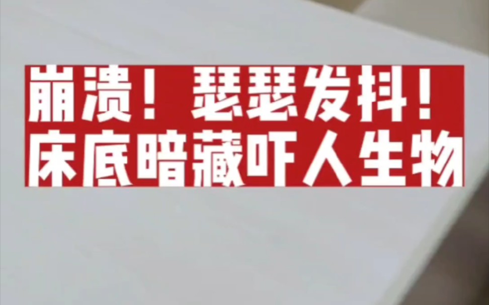 中山佛山白蚁防治找哪家靠谱有保障专业上门灭治白蚁房屋别墅装修白蚁预防哔哩哔哩bilibili