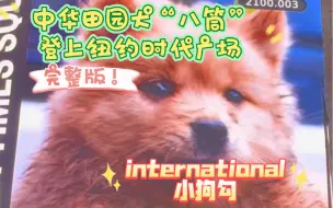 Download Video: 【纽约街头】中华田园犬“八筒”登上纽约时代广场 外国人直呼牛 双手比赞 完整版视频哦