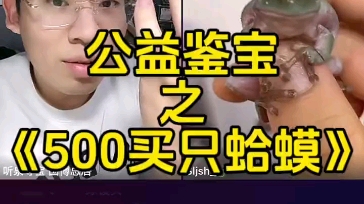 [图]公益鉴宝之《500买只蛤蟆》