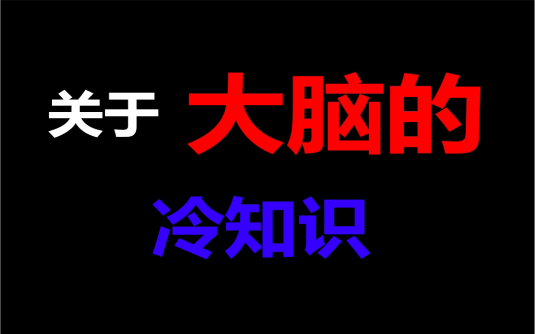 关于大脑的20个冷知识!哔哩哔哩bilibili