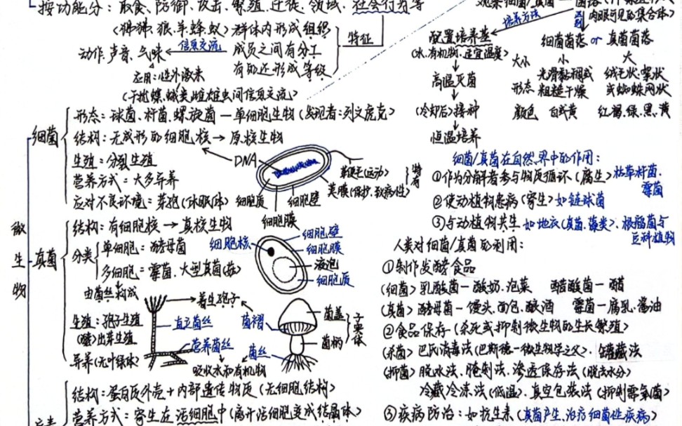 [图]人教版初中生物会考复习之第五单元第二四五章