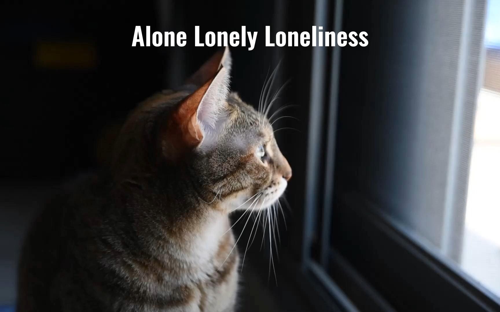 孤独 alone lonely loneliness