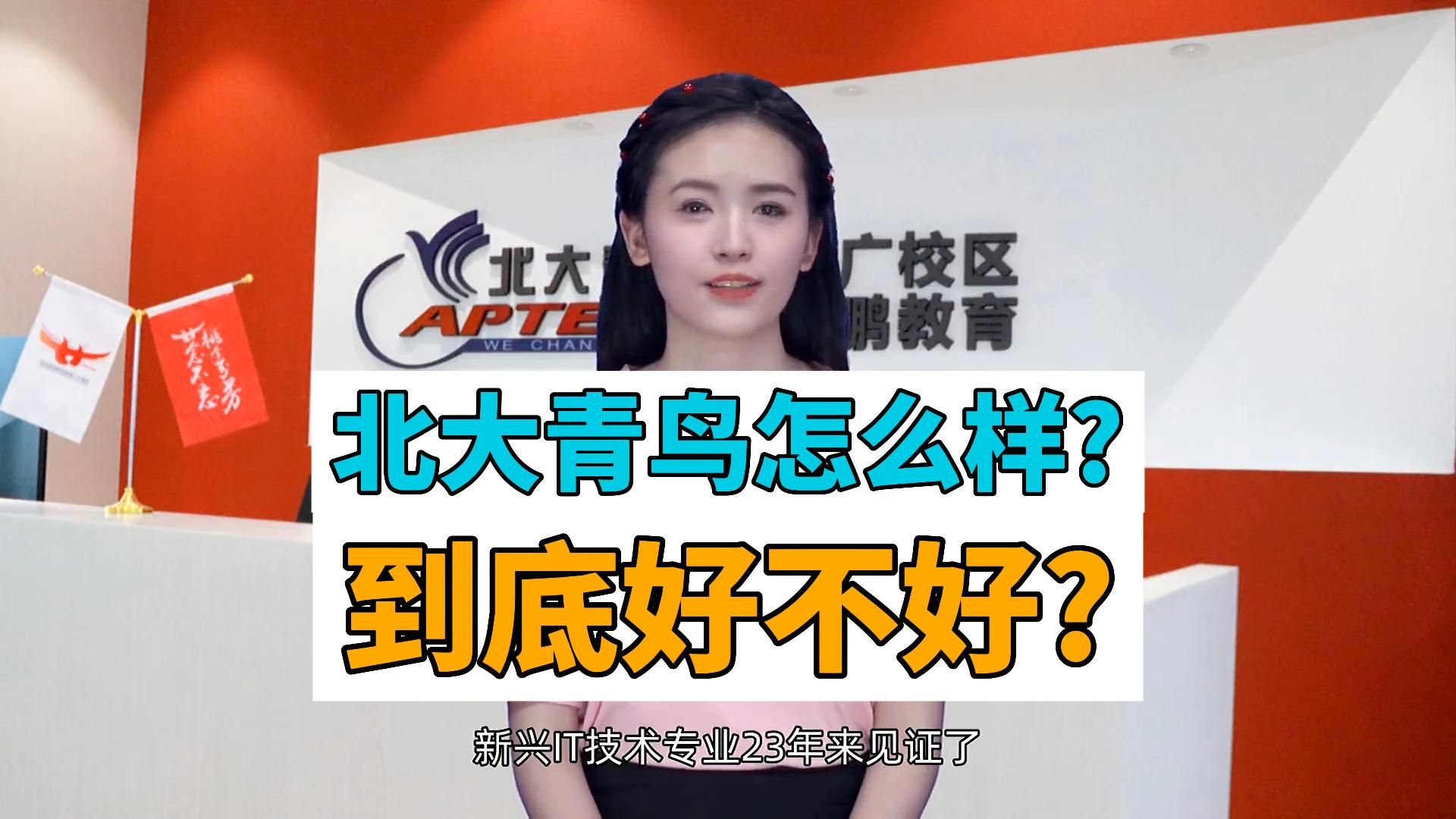 北大青鸟怎么样?到底好不好?哔哩哔哩bilibili