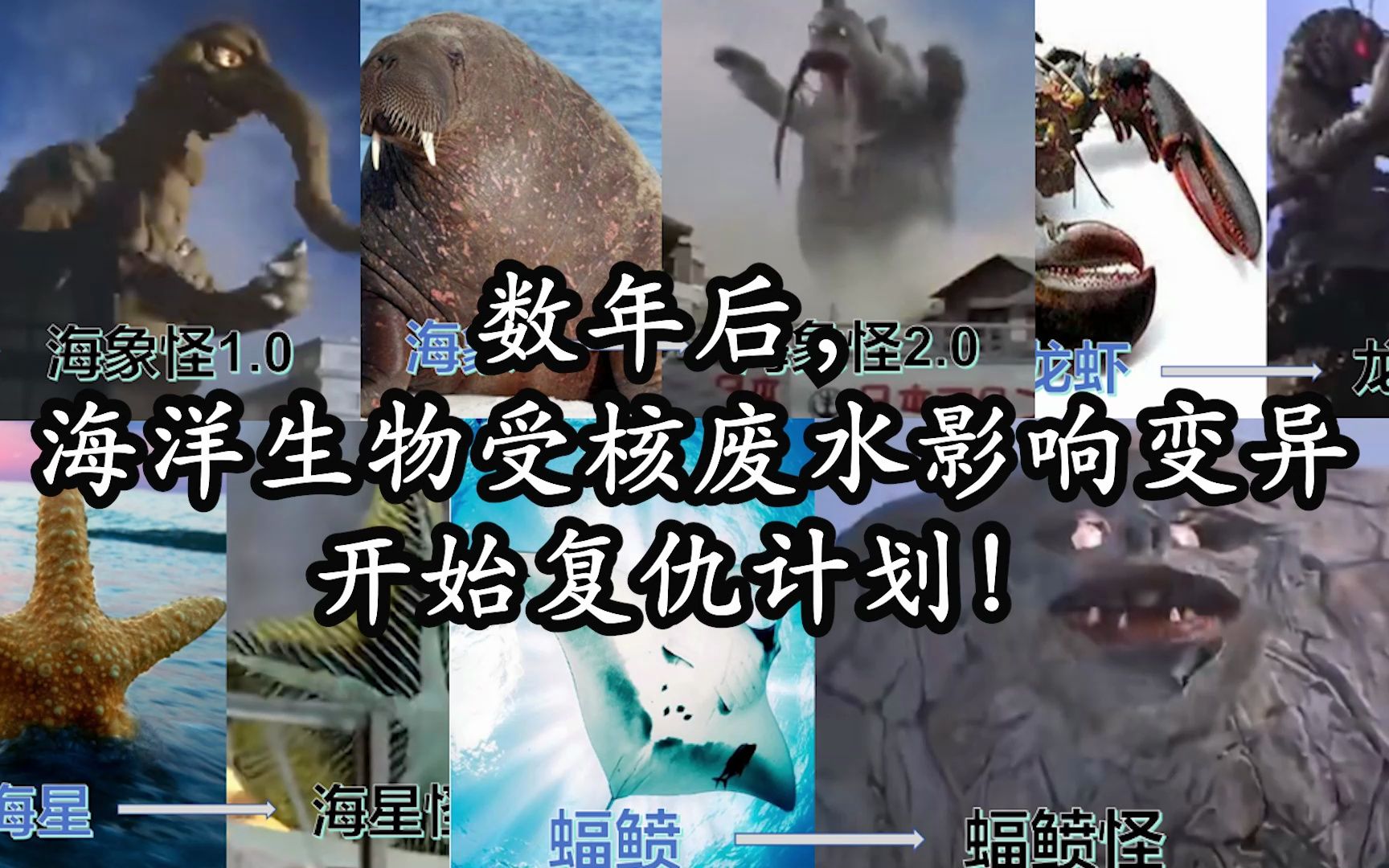 孤勇者--受核废水影响变异的海洋生物