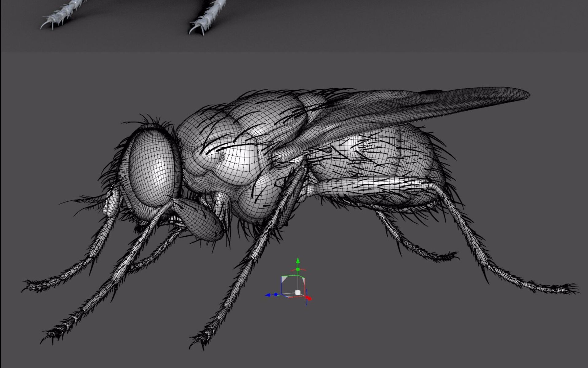 【次世代】苍蝇3d制作,不仔细看还以为是真的【胆小勿入】_哔哩哔哩
