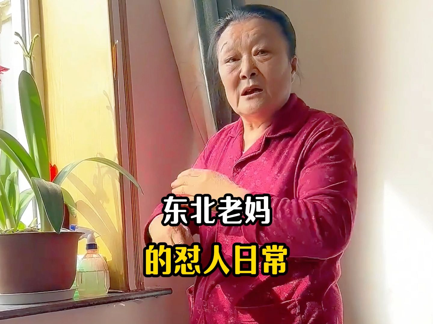 盘点东北老妈的怼人日常