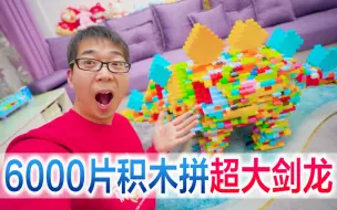 Download Video: 方伟一家三口挑战用6000片积木拼超大剑龙，太惊艳了吧