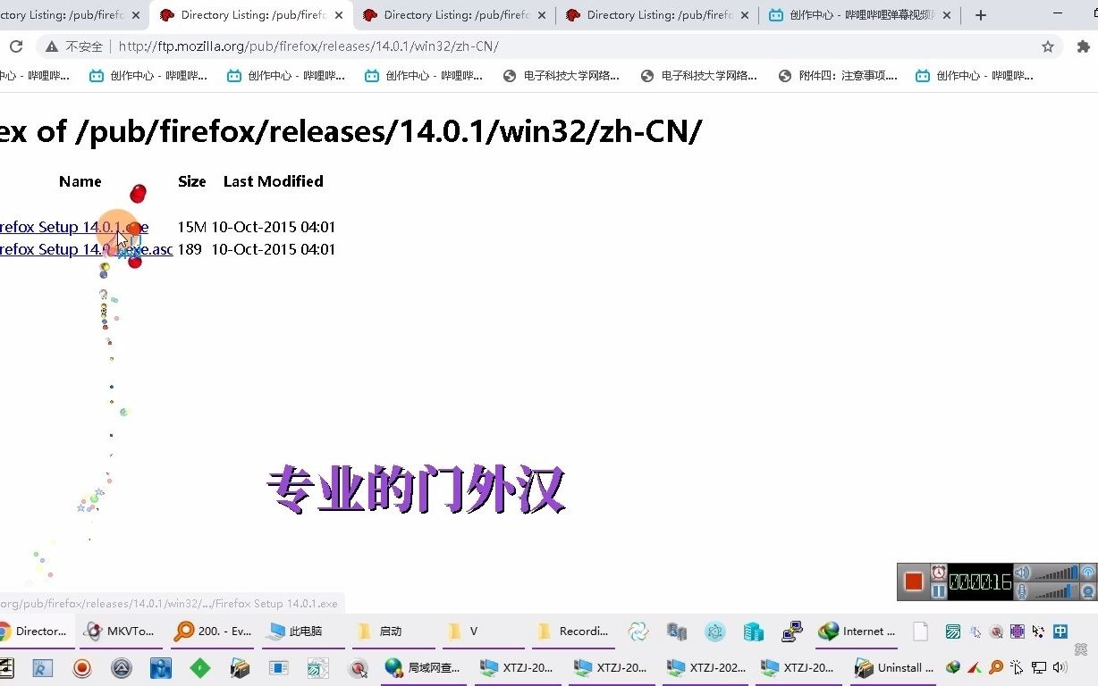 20H2体验Firefox火狐浏览器14.0.1/win32/zhCN哔哩哔哩bilibili