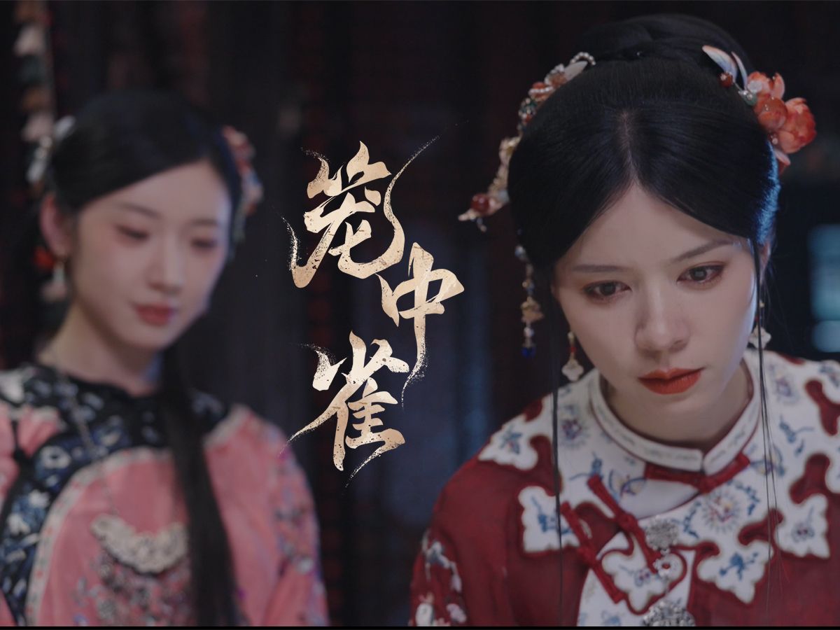 “老爷慢走,我一定照顾好你的小妾”《笼中雀》第十集哔哩哔哩bilibili