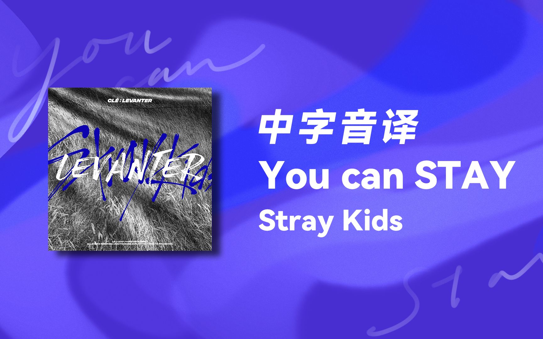 [图]【Stray Kids】五分钟教你唱《You can STAY》