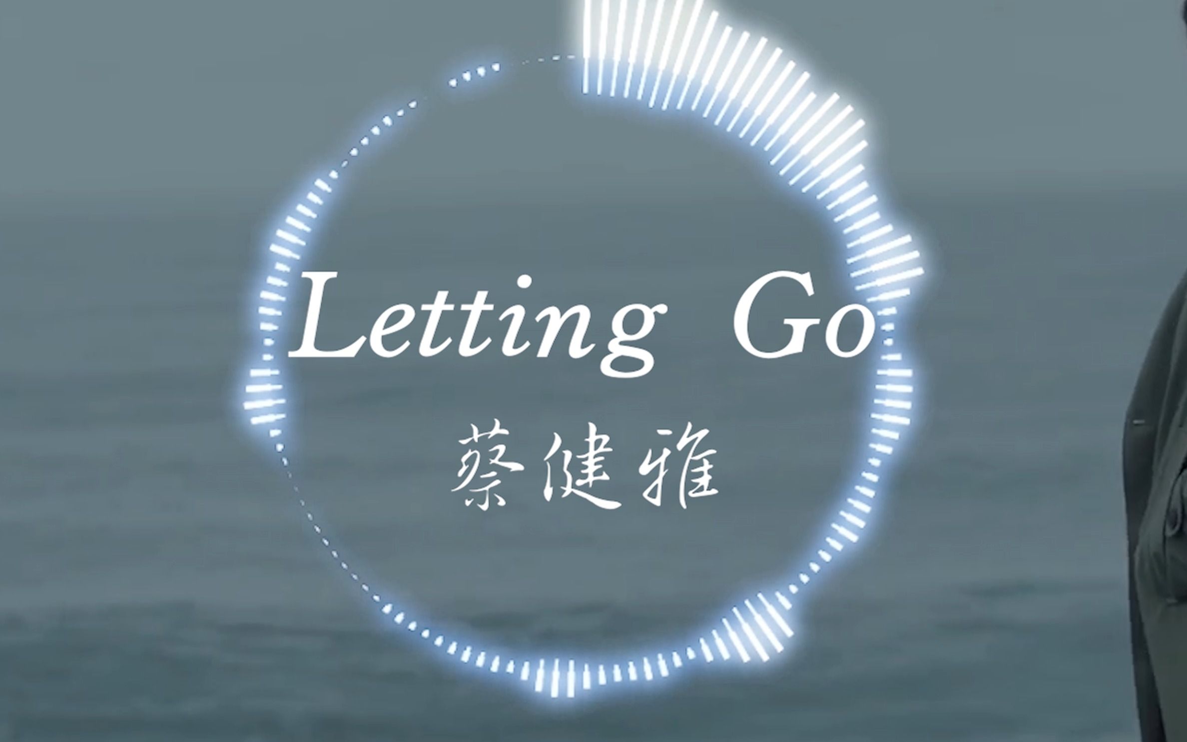 [图]放下吧 【Hi-Res无损】蔡健雅《Letting Go》“I'm letting go 我终于舍得为你放开手”| 音乐可视化 | 动态歌词