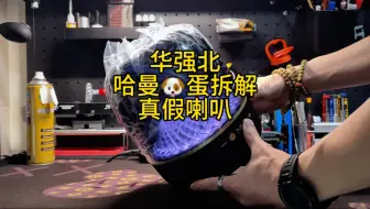 你以为它是个喇叭！实际上只是个震膜！