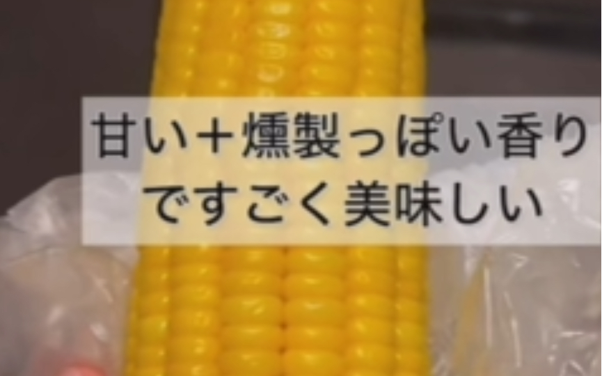 【TikTok】外网看日本小哥体验街头烤玉米|海外国际版抖音外国网友评论哔哩哔哩bilibili