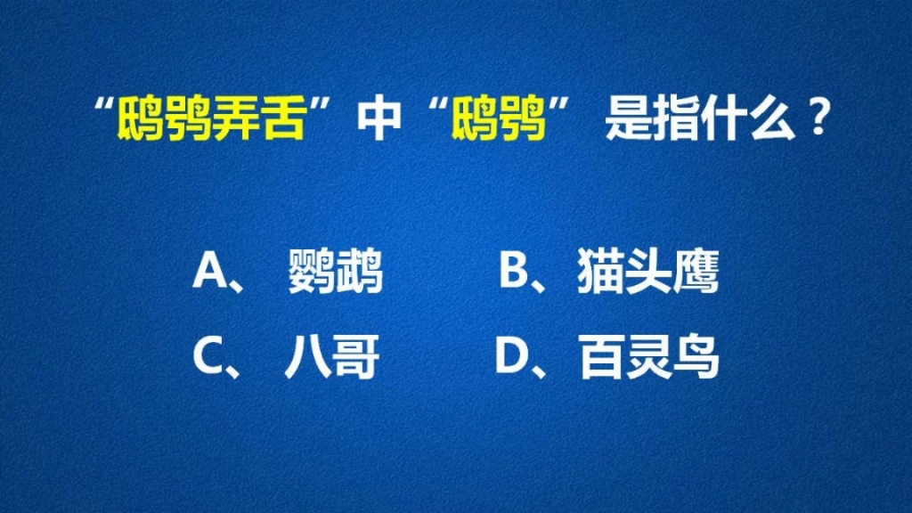 成语“鸱鸮弄舌”中的“鸱鸮”到底是哪一种鸟?一起学习一下吧!哔哩哔哩bilibili