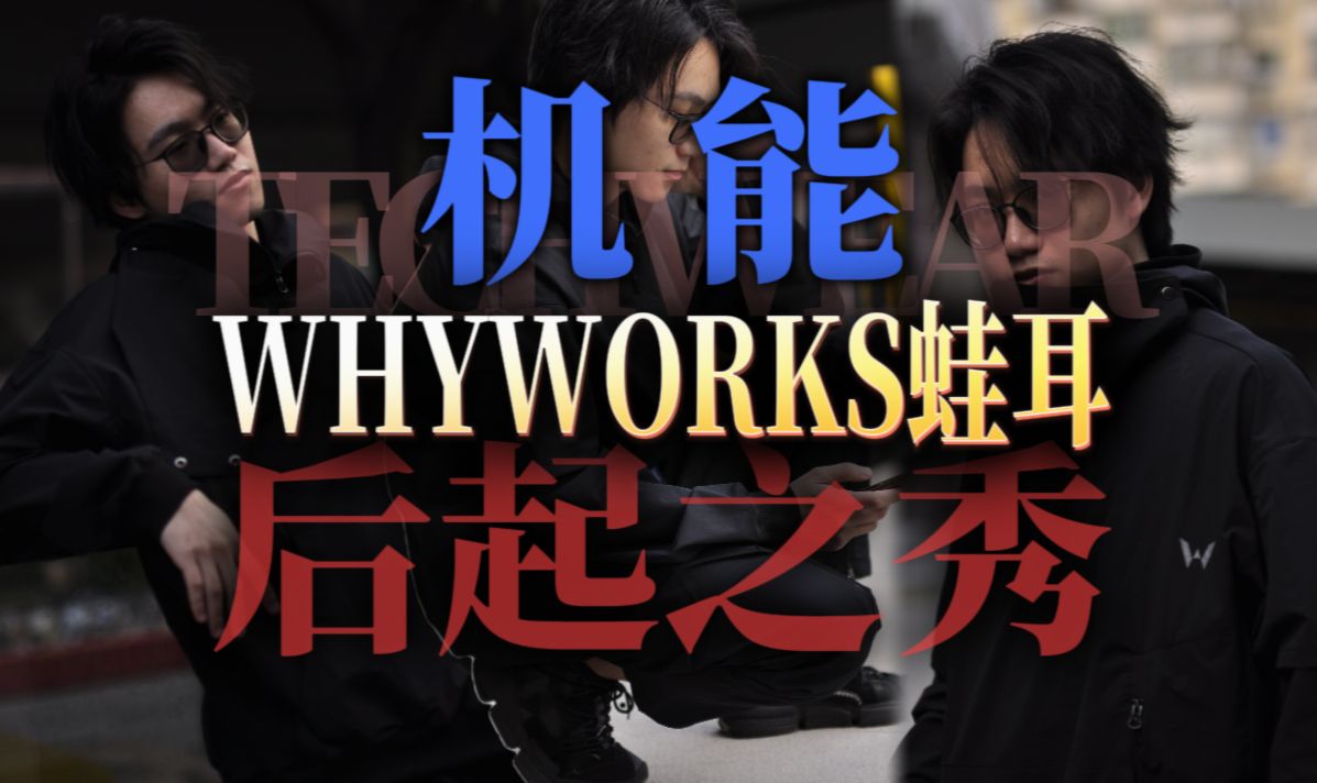 平民机能风!入坑首选之WHYWORKS蛙耳有何魔力?哔哩哔哩bilibili