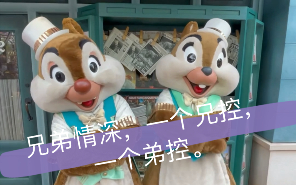 迪士尼中活宝花栗鼠兄弟如何表演兄弟情深,被秀一脸