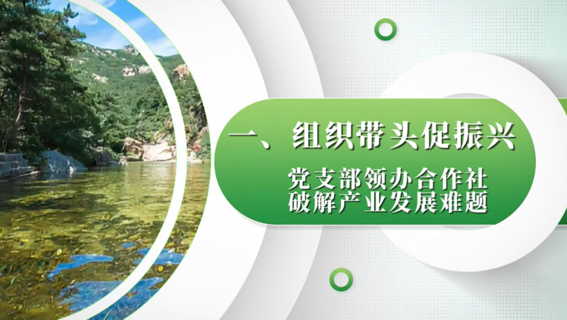 (一)组织带头促振兴 党支部领办合作社,破解产业发展难题哔哩哔哩bilibili