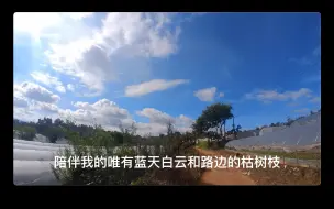 Download Video: 马拉松运动员30km越野训练