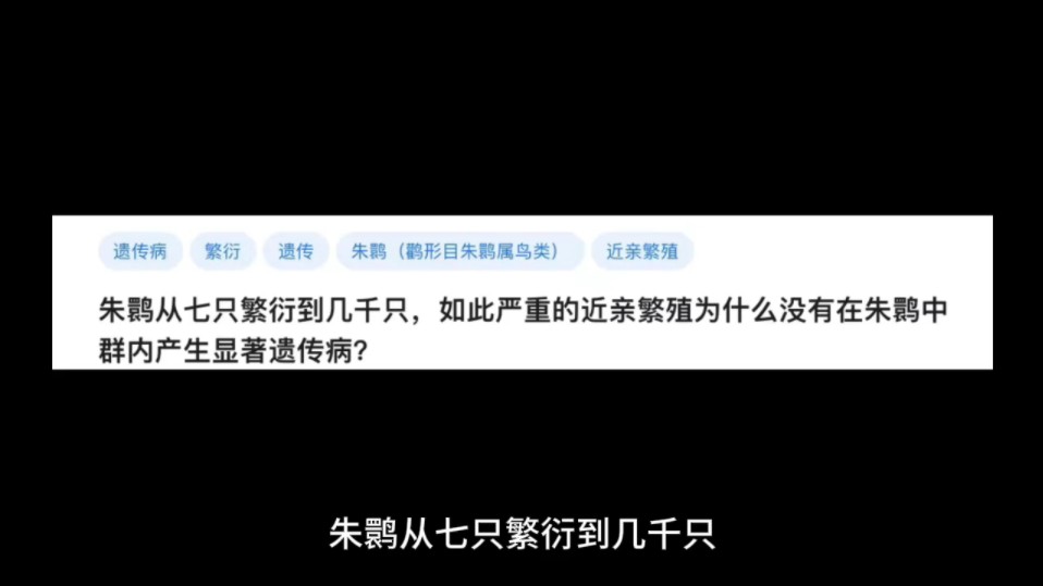 朱鹮从七只繁衍到几千只,如此严重的近亲繁殖为什么没有在朱鹮中群内产生显著遗传病?哔哩哔哩bilibili