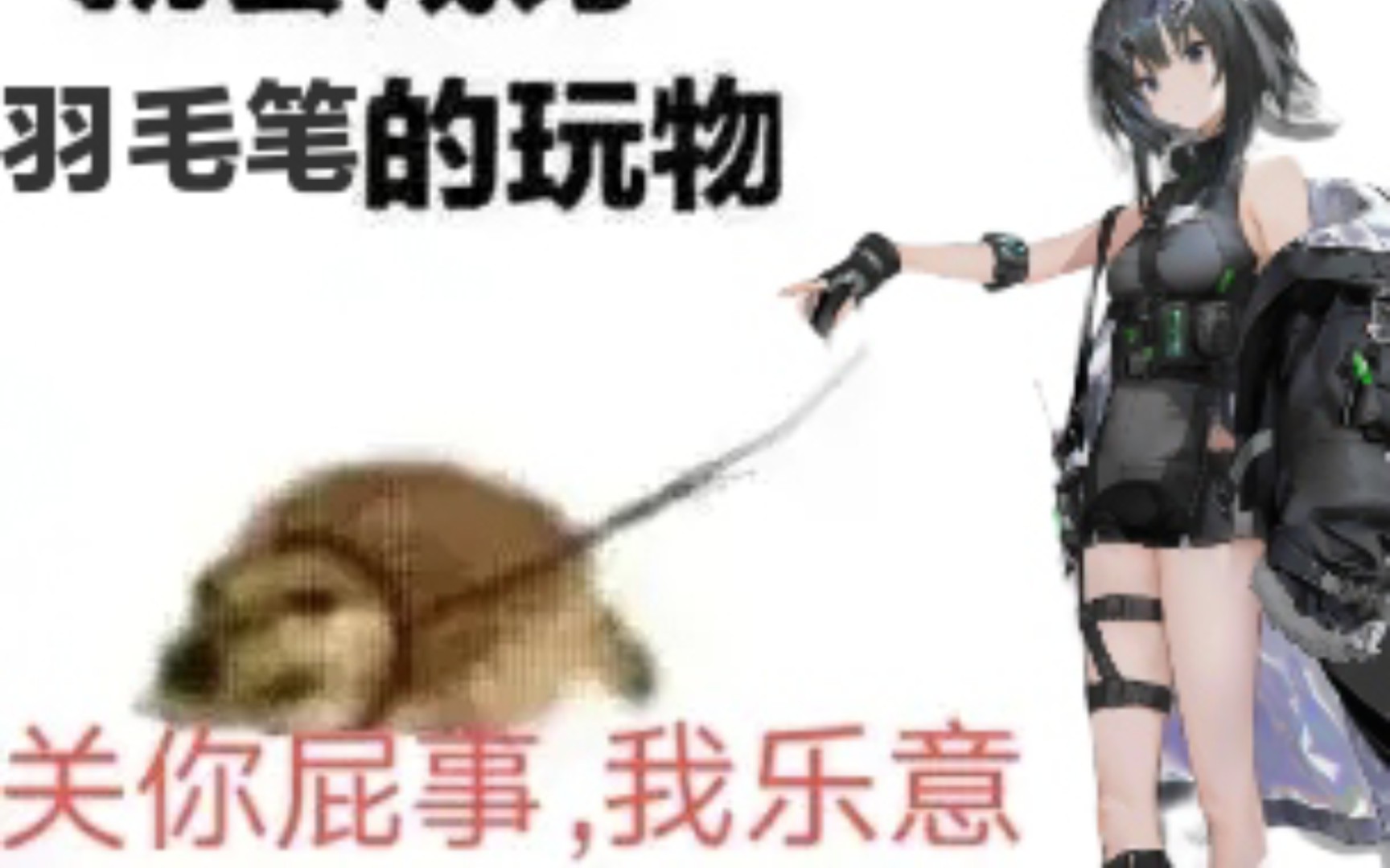 chip chip但羽毛笔