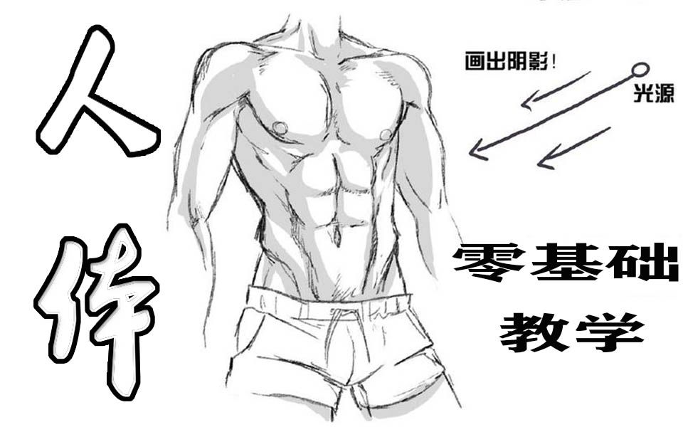 【手绘漫画】如何画出饱满的男性人体?男性躯干和女性又有哪些不同的地方了?合尚吴彦祖干货教学哔哩哔哩bilibili