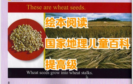 [图]绘本阅读-国家地理儿童百科提高09 Seeds Grow into Plants