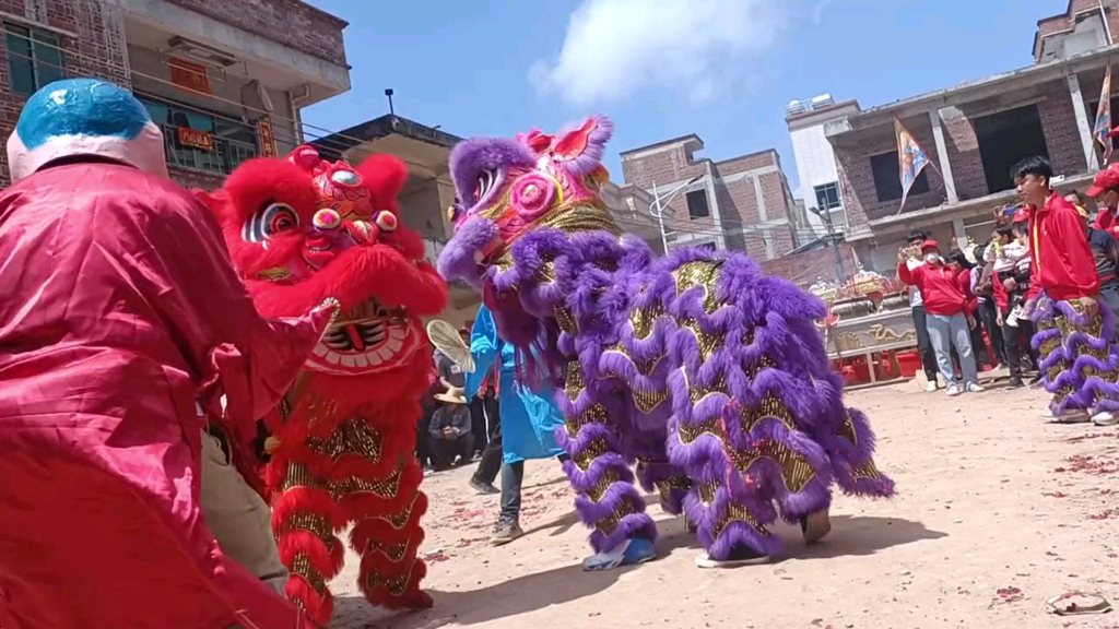 舞醒狮舞鹰雄游老爷穿令箭等组成粤西湛江农村特色年例游神