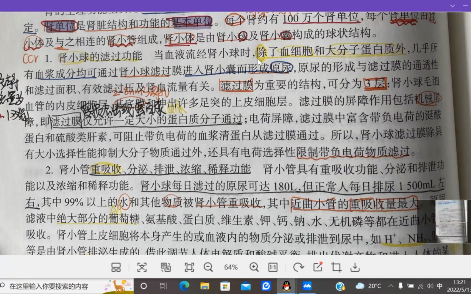 内科护理学(泌尿系统总论)哔哩哔哩bilibili