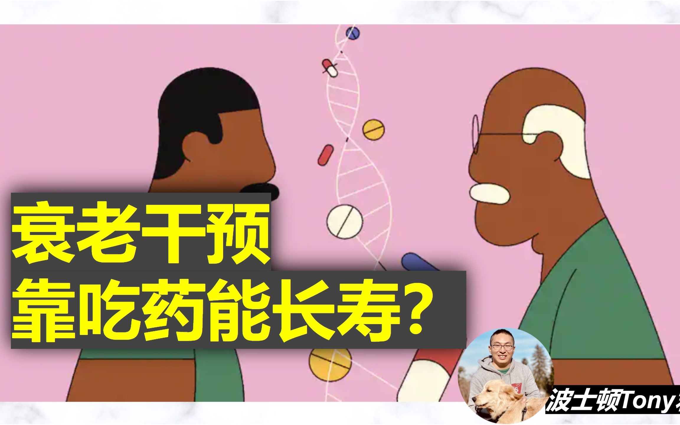 抗衰老!靠吃药能长寿吗?9分钟看懂衰老干预,医学关于延年益寿新探索,解锁老年病的秘密 Delay Aging & Aging intervention哔哩哔哩bilibili