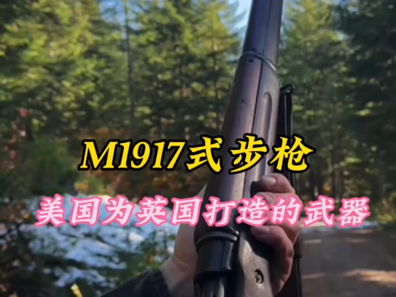 你不认识的M1917式步枪#军事科普 #武器科普 #军迷发烧友哔哩哔哩bilibili