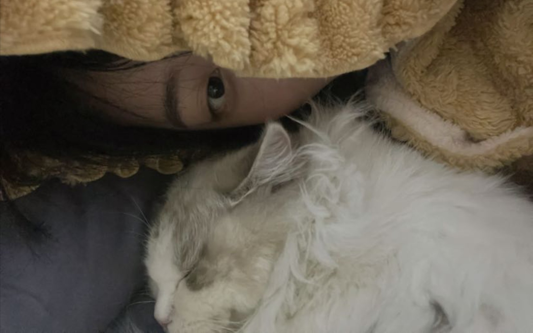 郑丹妮 被猫咪包围的幸福小妮 210210电台