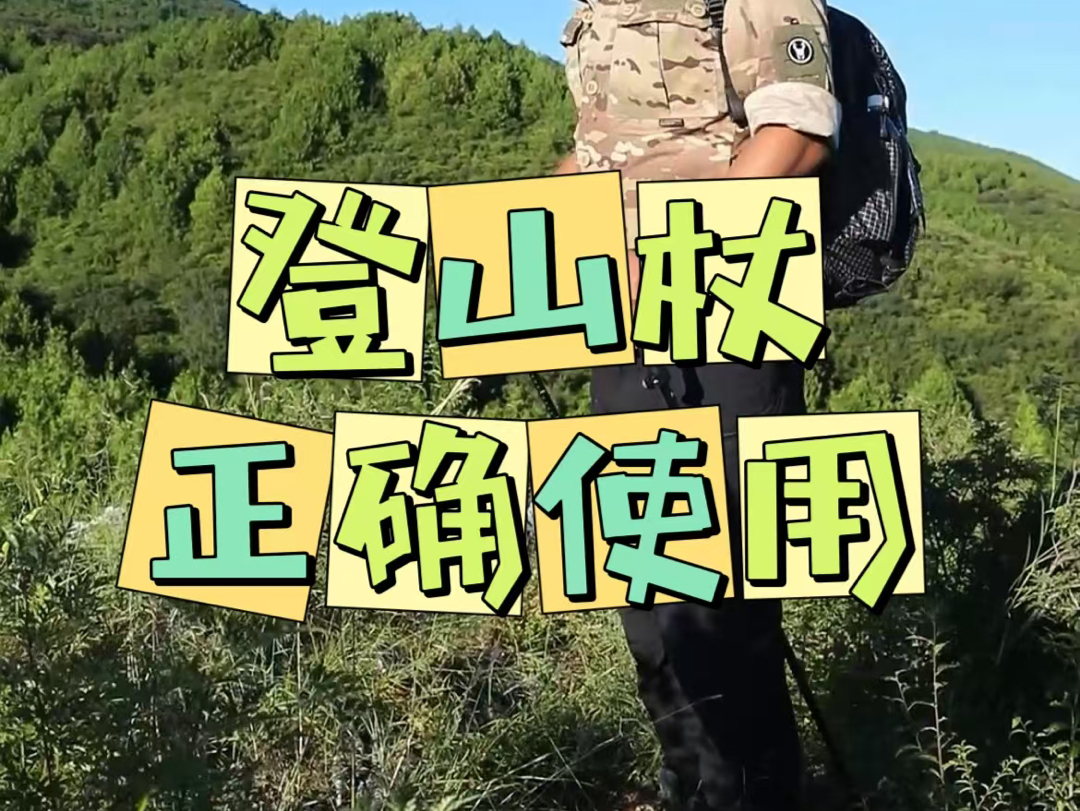 登山杖正确使用:谁说登山杖鸡肋?用好省力,用对还可“打草惊蛇”!哔哩哔哩bilibili