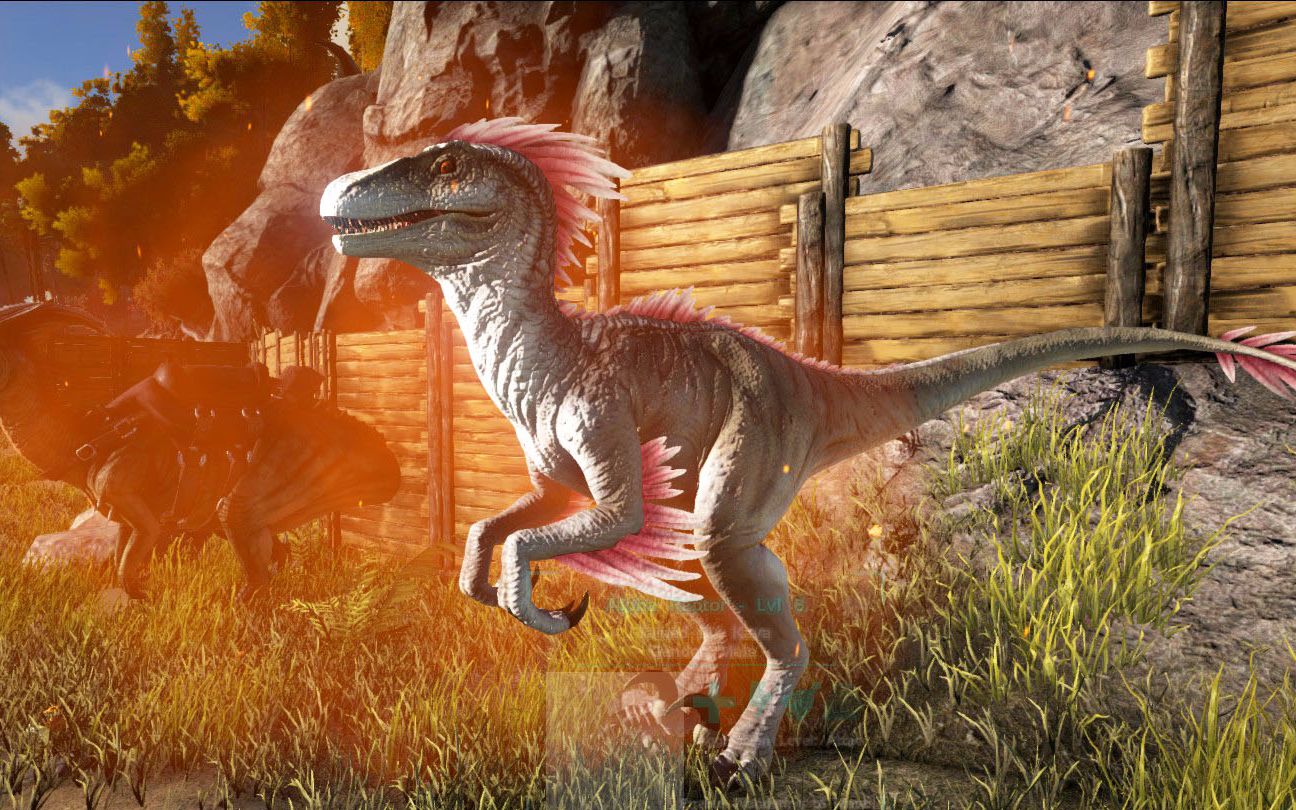 《方舟手游-13》遭遇精英迅猛龙,话不多说就是干