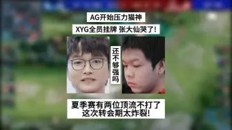 Скачать видео: AG压力猫神，XYG全员挂牌，张大仙哭了！夏季赛有两位顶流选手不打了，不是一诺跟无畏，这次转会期太炸裂了！