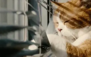 Ymobile 搜索结果 哔哩哔哩 Bilibili