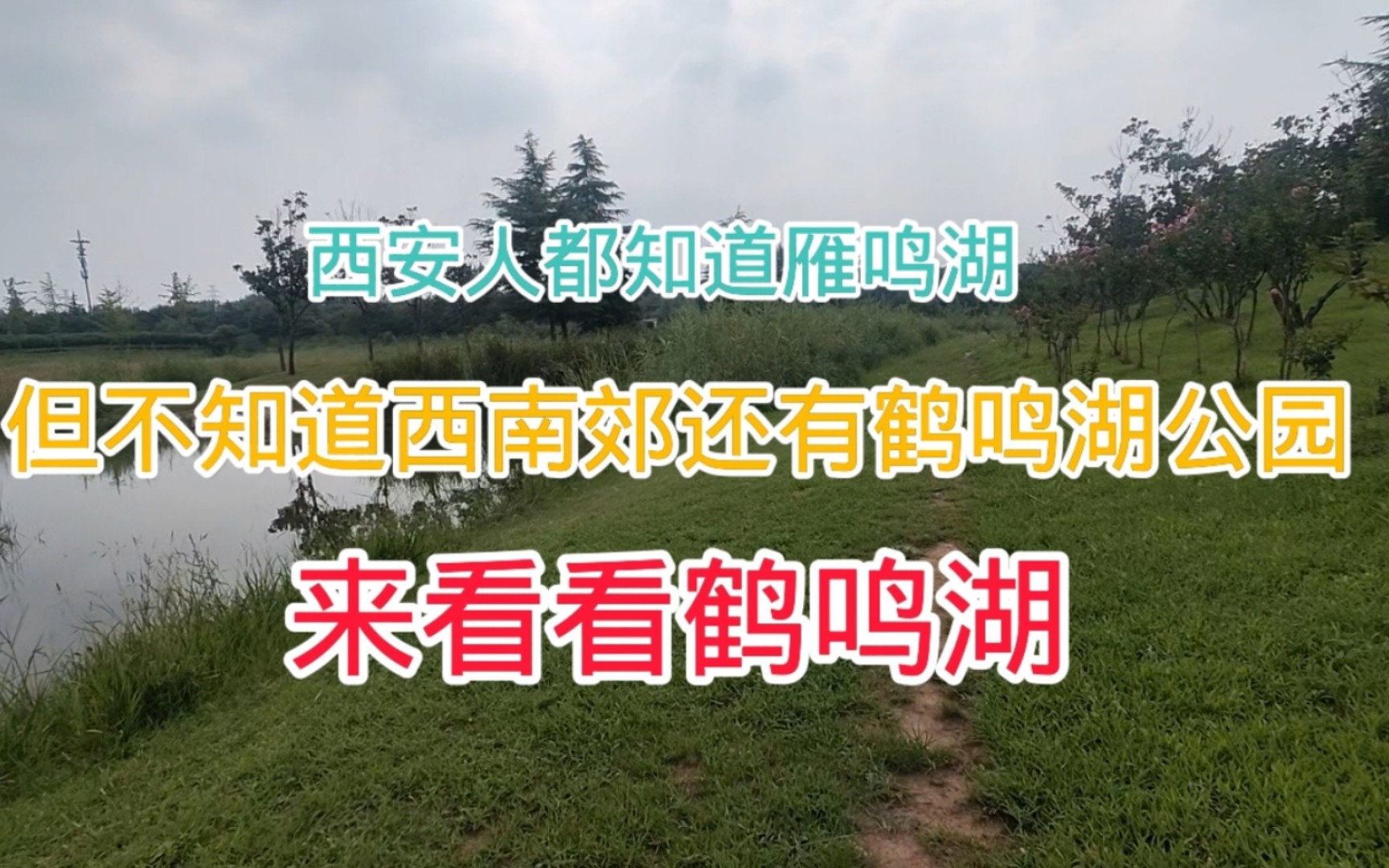 要是不告诉你,都不知道西安还有鹤鸣湖公园,走来看看这座公园