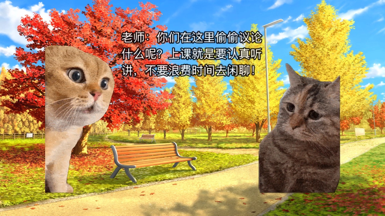 猫meme日常哔哩哔哩bilibili